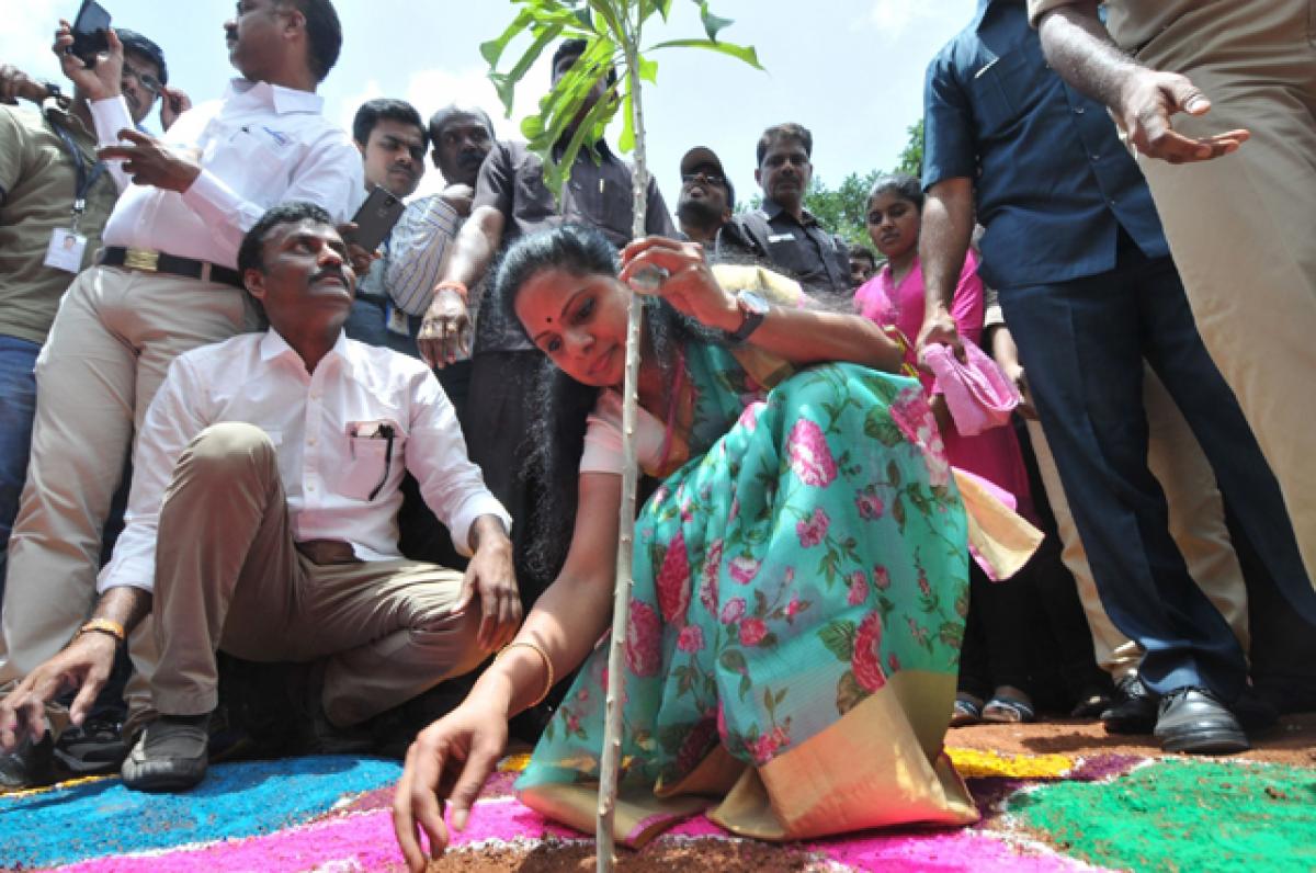 TITA vows to strive for Haritha Haram success